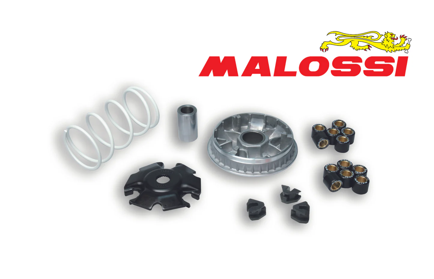 MalossiDragster300VariatorKit